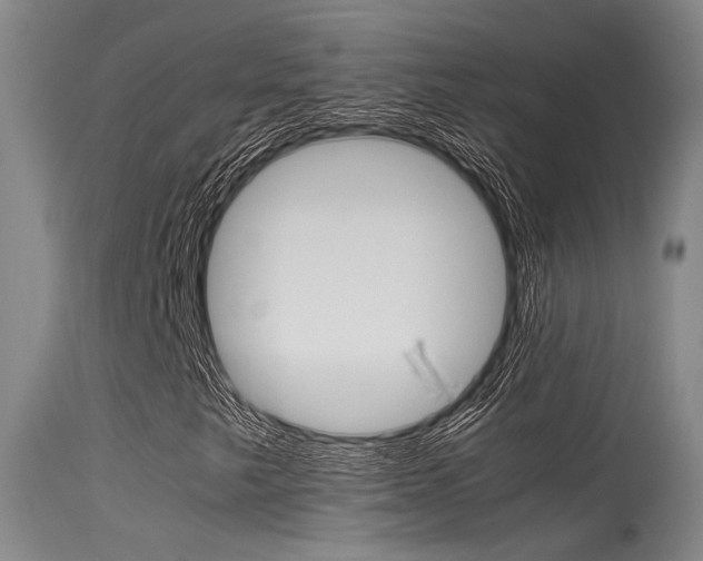 X0000115721249200911121055