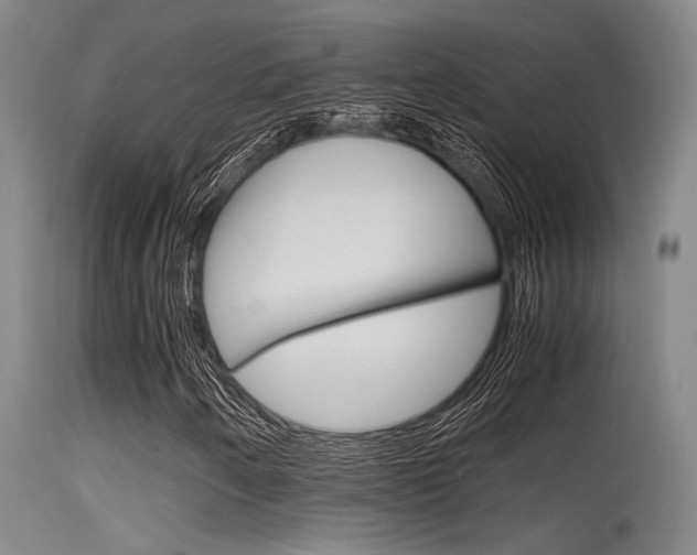 X0000115721250200911121055