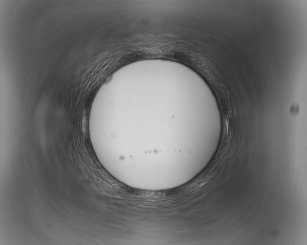 X0000115721251200911121055