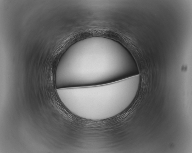 X0000115721252200911121055