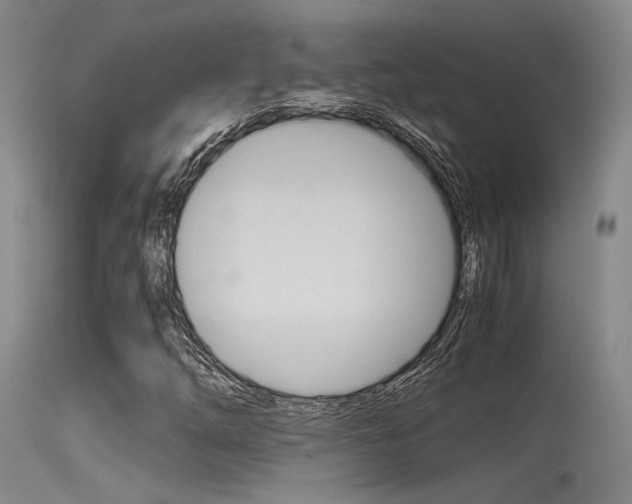 X0000115721254200911121054