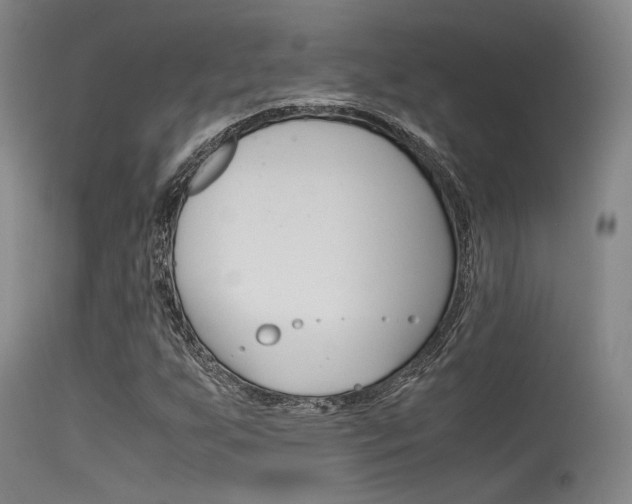X0000115721255200911121054