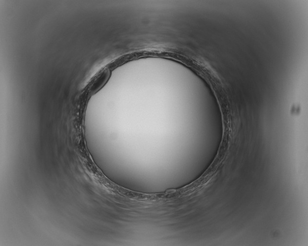 X0000115721256200911121054