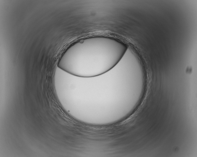 X0000115721257200911121054