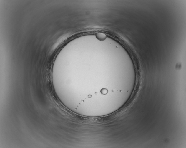 X0000115721259200911121054