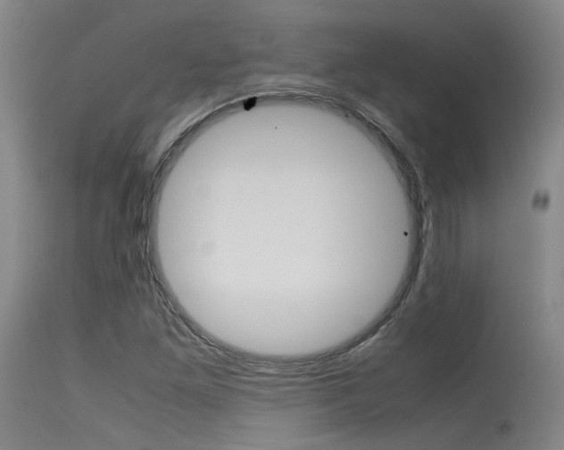 X0000115721261200911121054