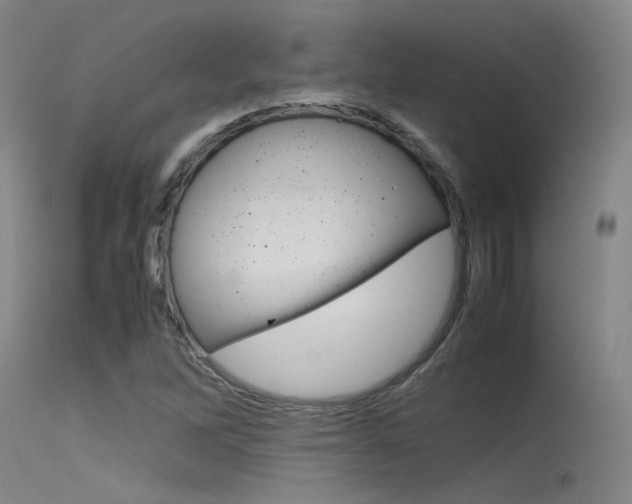 X0000115721262200911121054