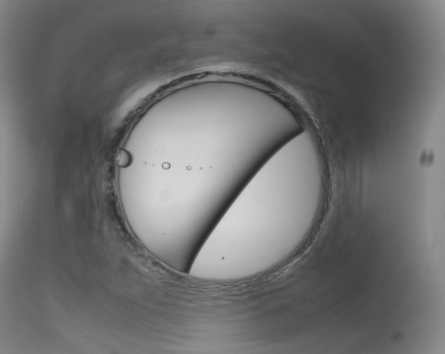 X0000115721263200911121054