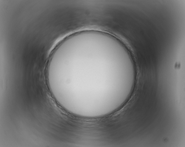 X0000115721264200911121054