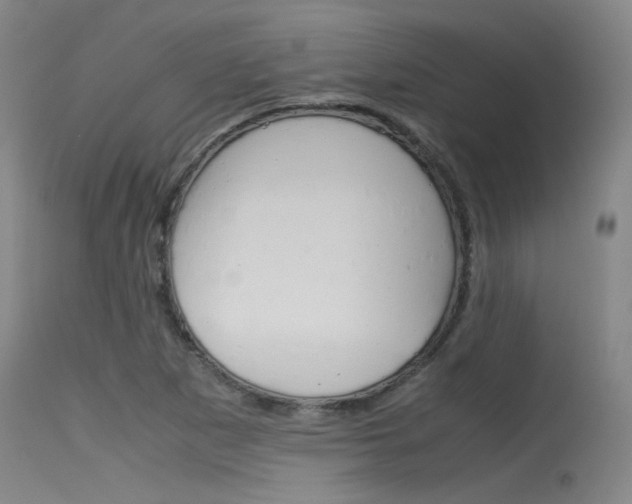 X0000115721265200911121054
