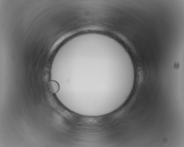 X0000115721266200911121054