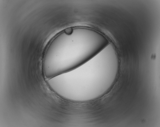 X0000115721268200911121054