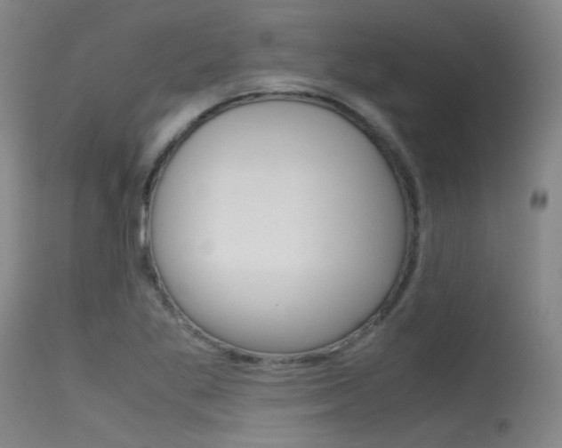X0000115721269200911121054