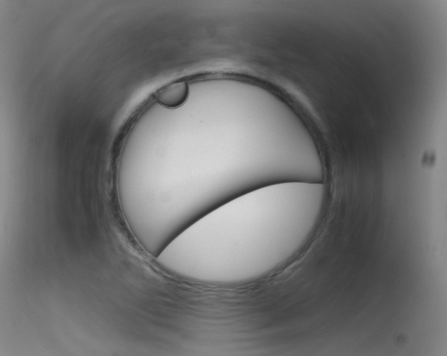 X0000115721270200911121054