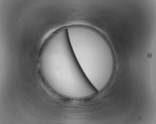 X0000115721271200911121054
