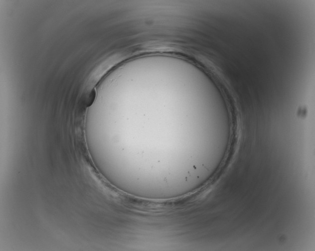 X0000115721273200911121054
