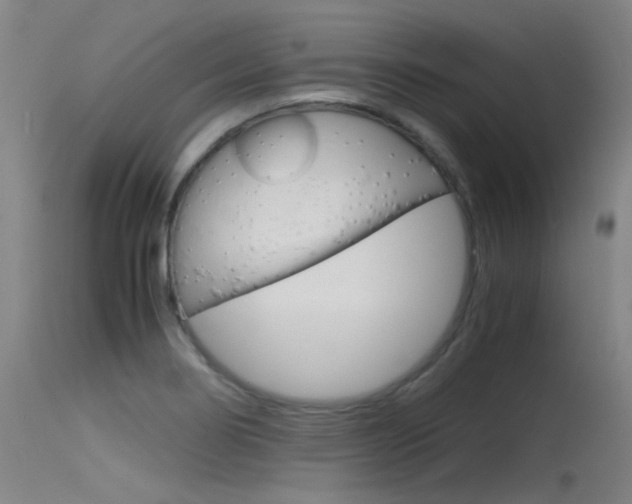 X0000115721274200911121054