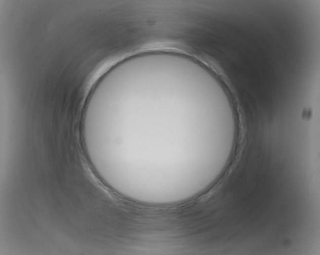 X0000115721277200911121054