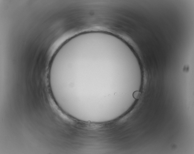X0000115721278200911121054