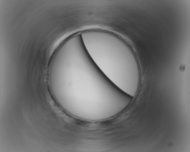 X0000115721279200911121054