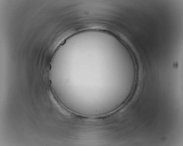 X0000115721281200911121054