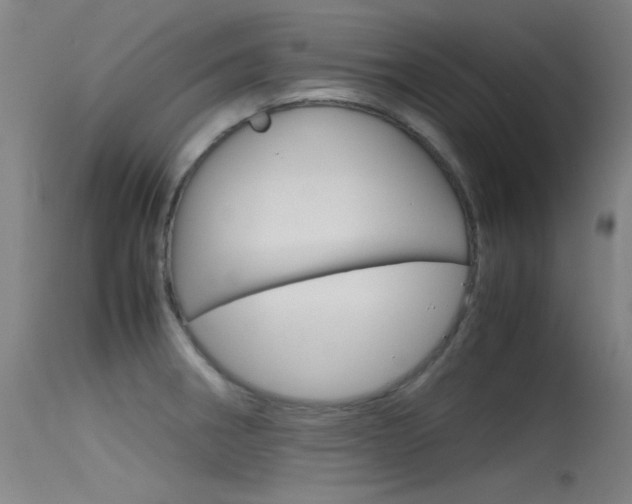 X0000115721282200911121054