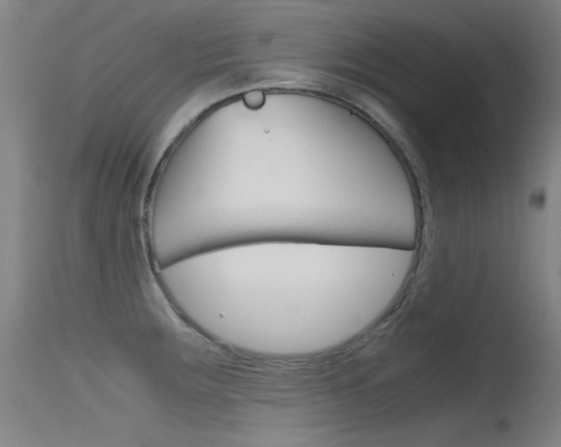 X0000115721283200911121054