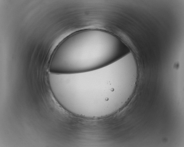 X0000115721284200911121054