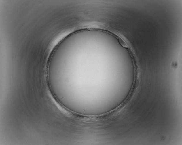 X0000115721285200911121054