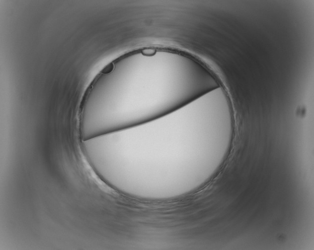 X0000115721287200911121054