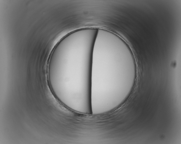 X0000115721291200911121054