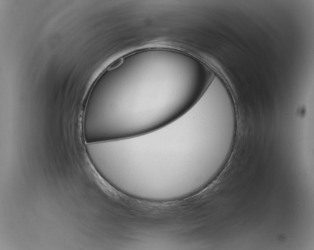 X0000115721292200911121054