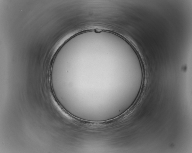 X0000115721293200911121054