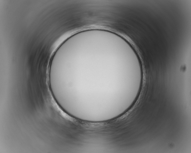 X0000115721294200911121054