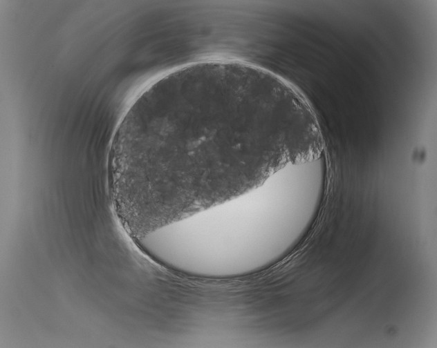 X0000115721295200911121054