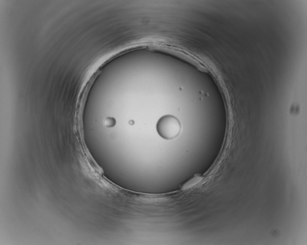X0000115721296200911121054