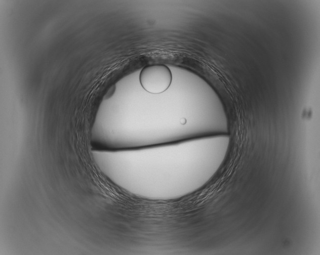 X0000115721297200911121053