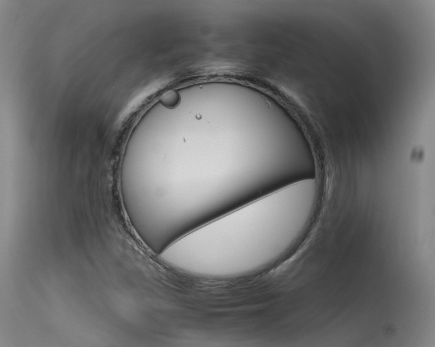 X0000115721309200911121053