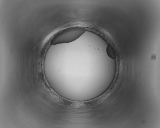 X0000115721310200911121053