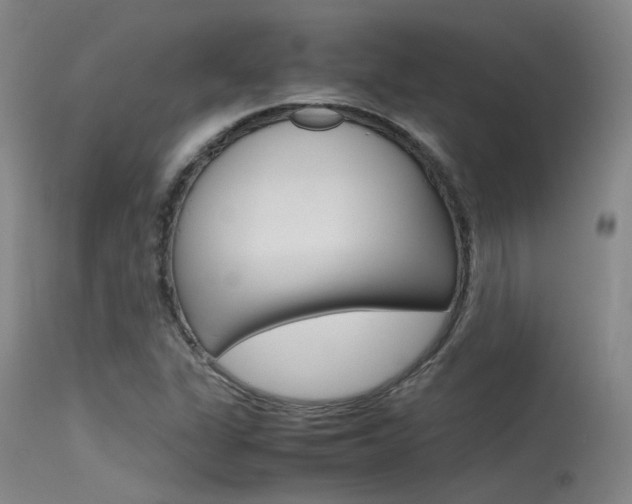 X0000115721311200911121053