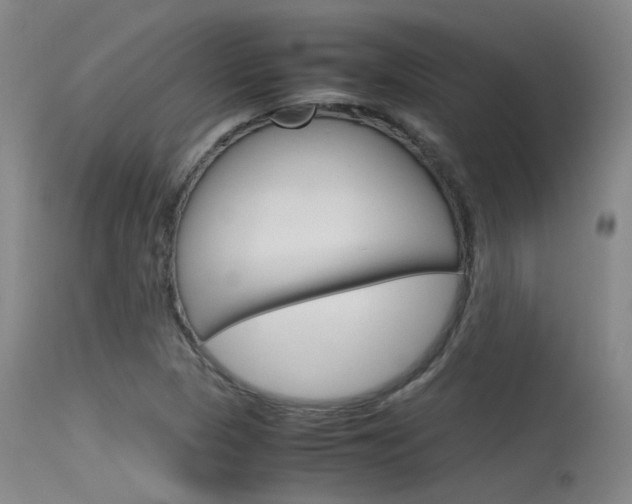X0000115721313200911121053
