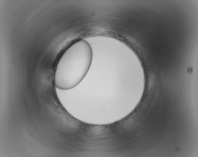X0000115721314200911121053