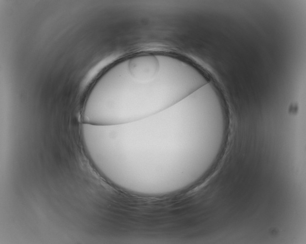 X0000115721317200911121054