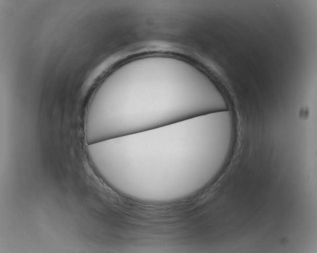 X0000115721318200911121054