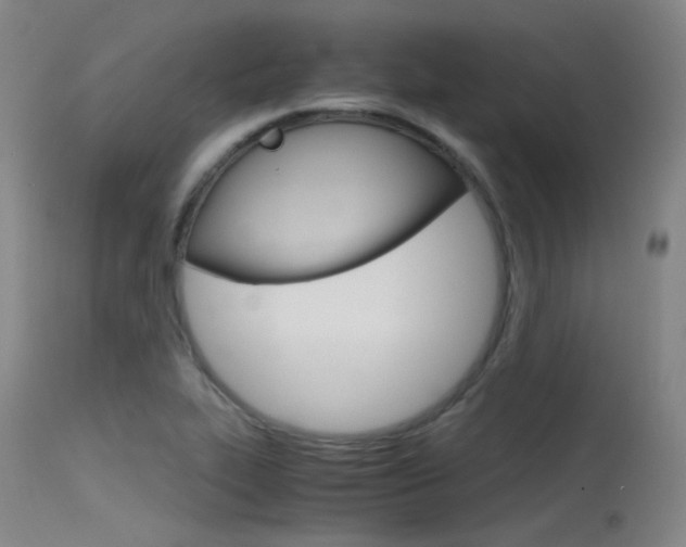 X0000115721319200911121054