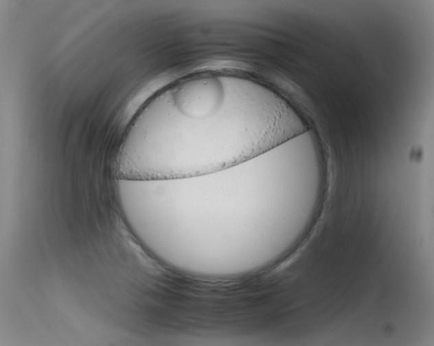 X0000115721321200911121054