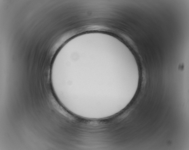 X0000115721322200911121054