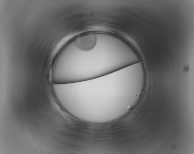 X0000115721323200911121054