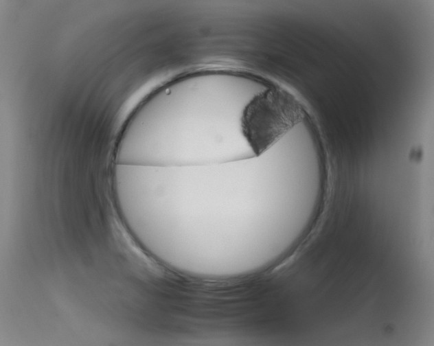 X0000115721325200911121054