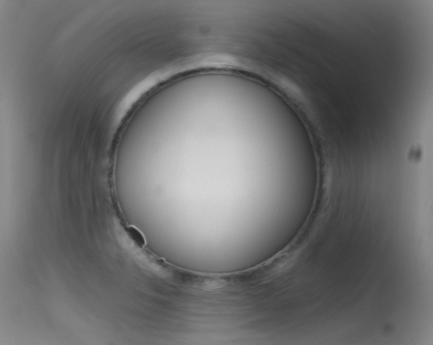 X0000115721326200911121054